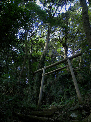 Hakusan Shrine